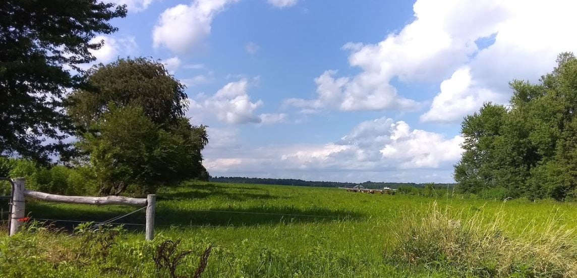 Welcome to the Farm - Roadside Tour