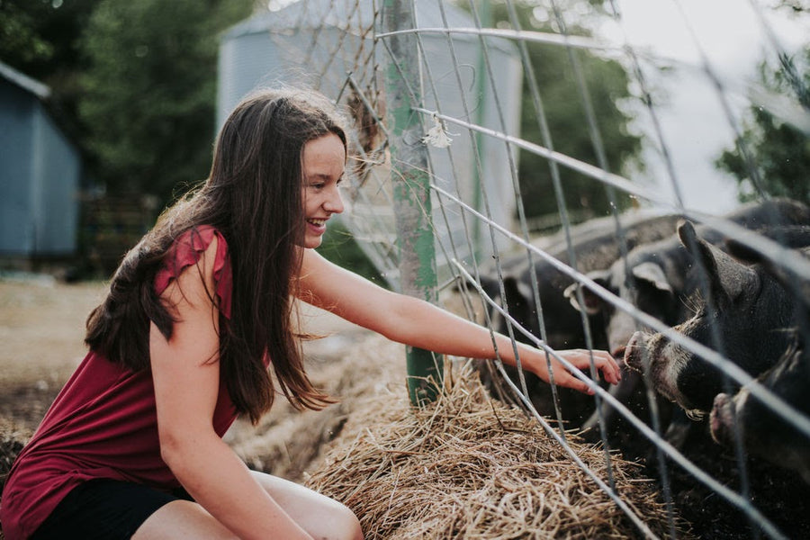 How do we raise premium heritage pork?
