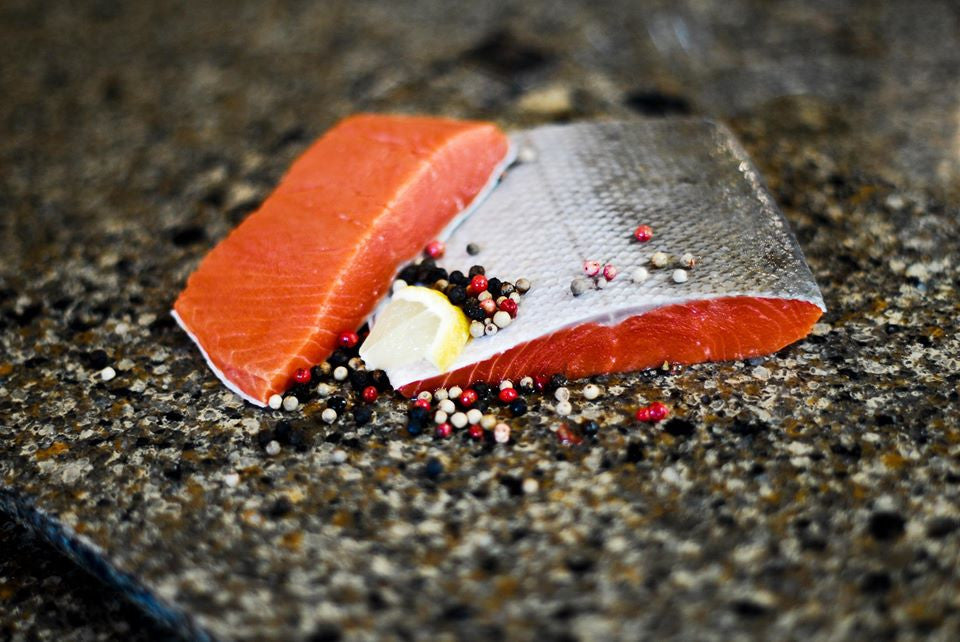 Sockeye Salmon