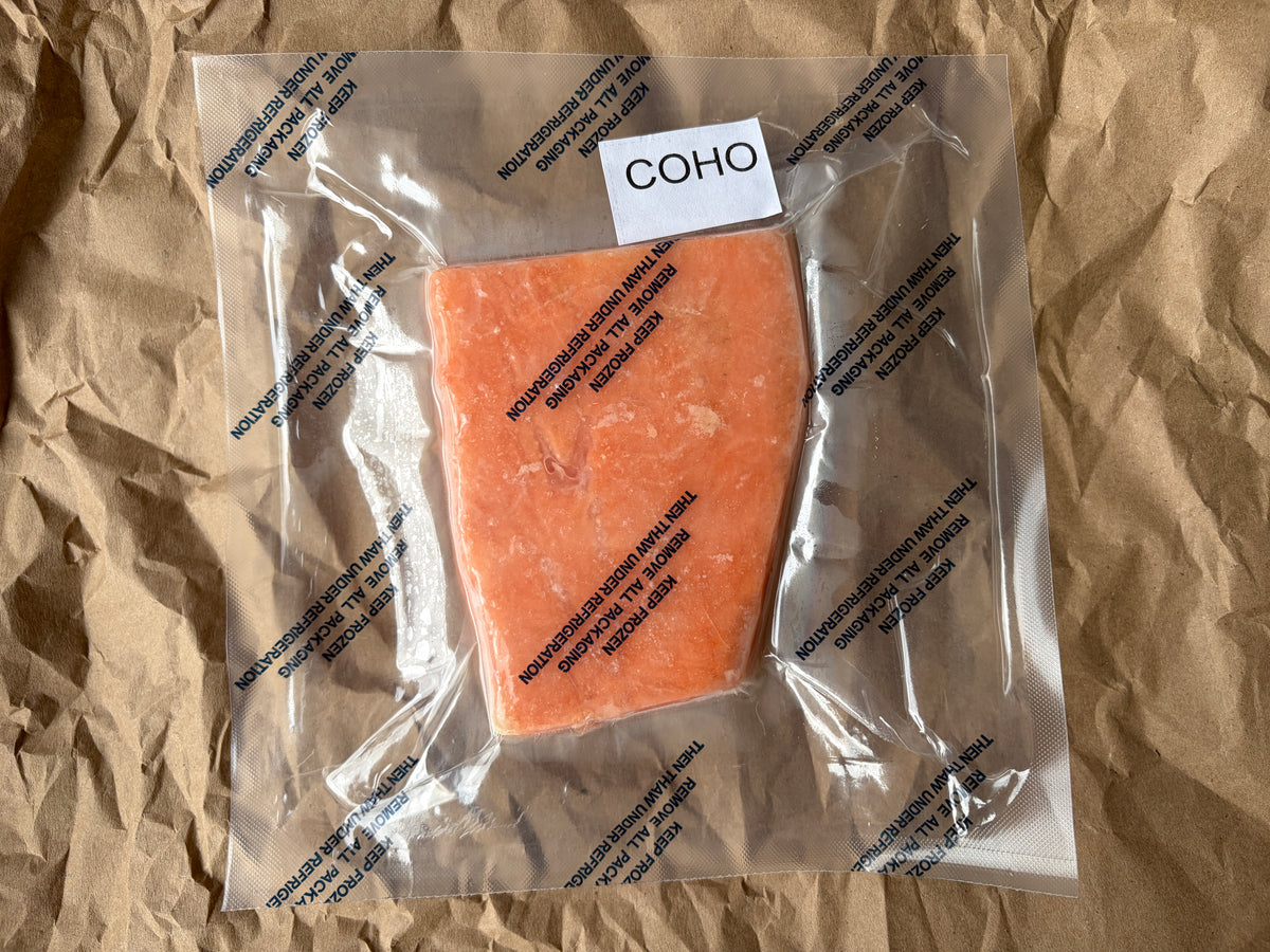 Coho Salmon