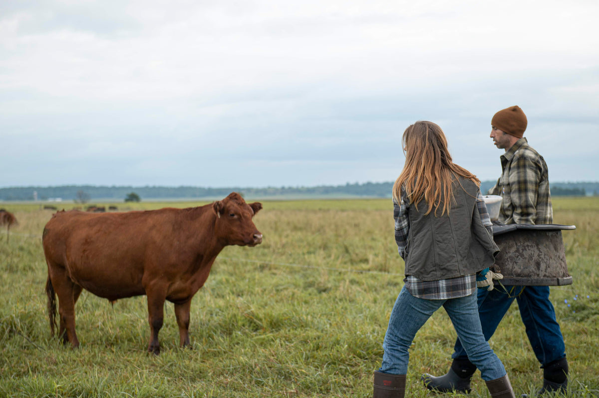 pasture walk jen bryce
