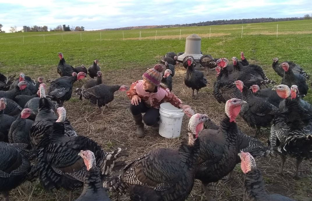 Let's talk turkeys and truth.