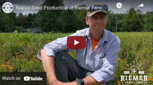 Growing Native Seeds on Our Farm to Help Monarchs and More