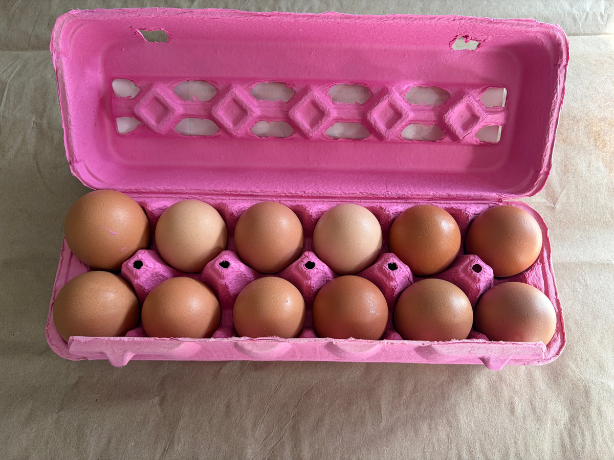 Dozen Chicken Eggs