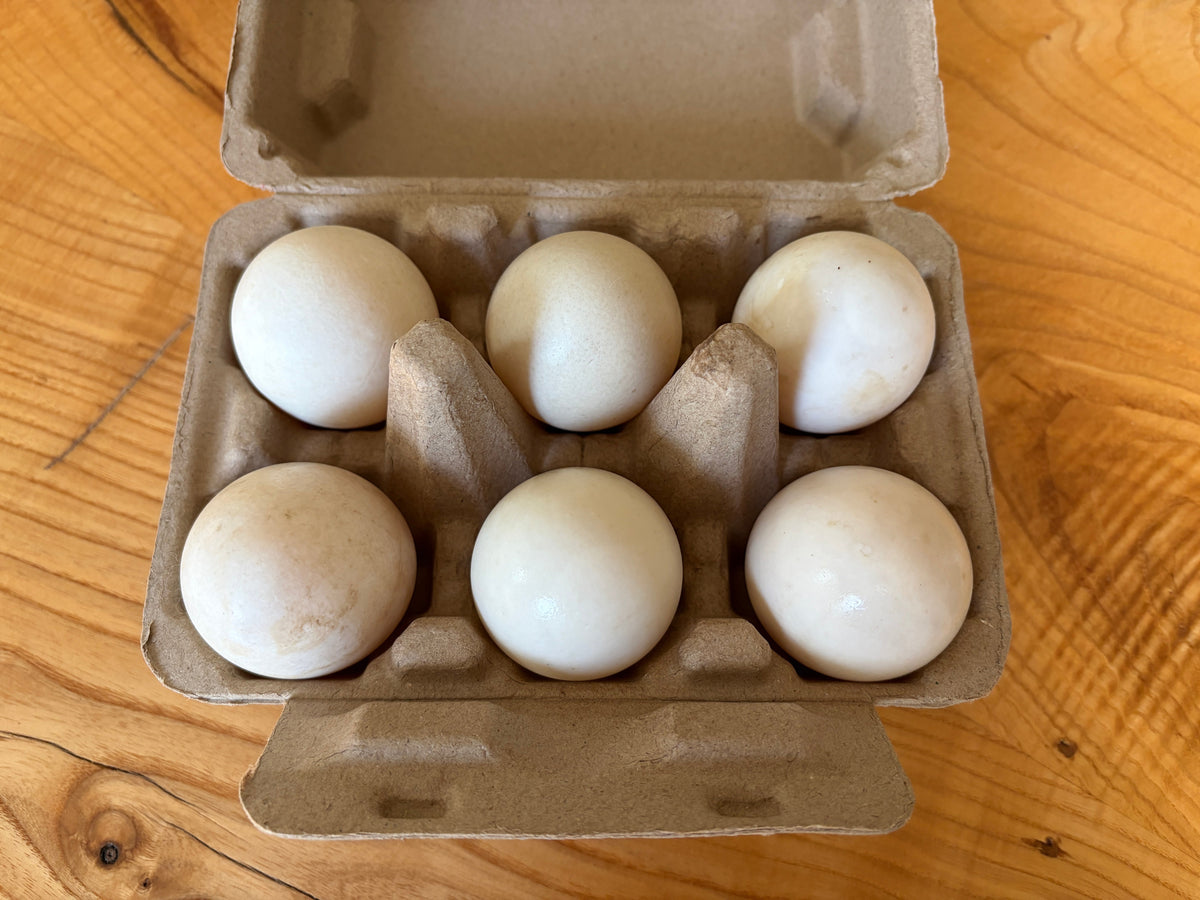 1/2 Dozen Duck Eggs