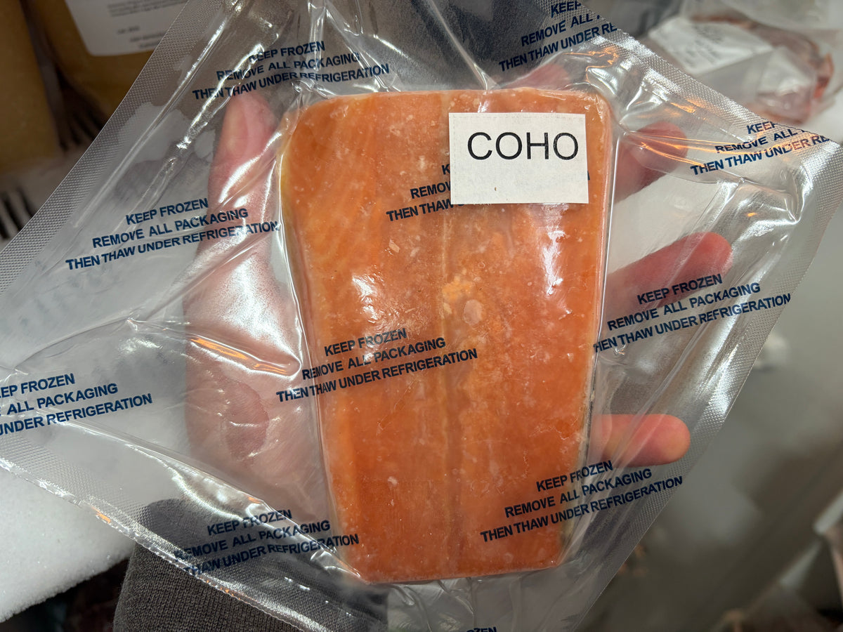 Coho Salmon